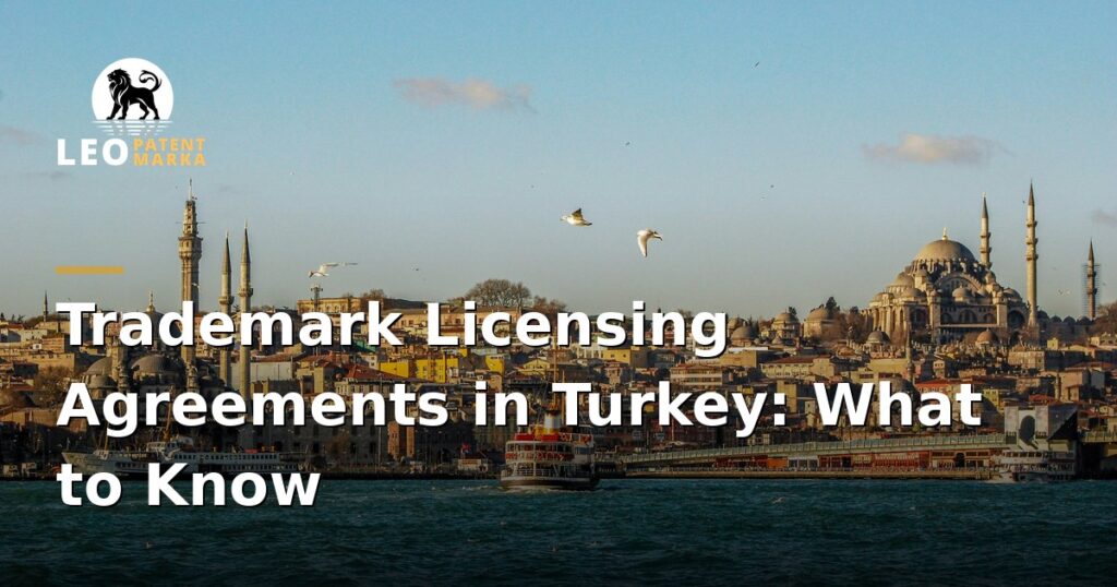 trademark-licensing-agreements-in-turkey-what-to-know