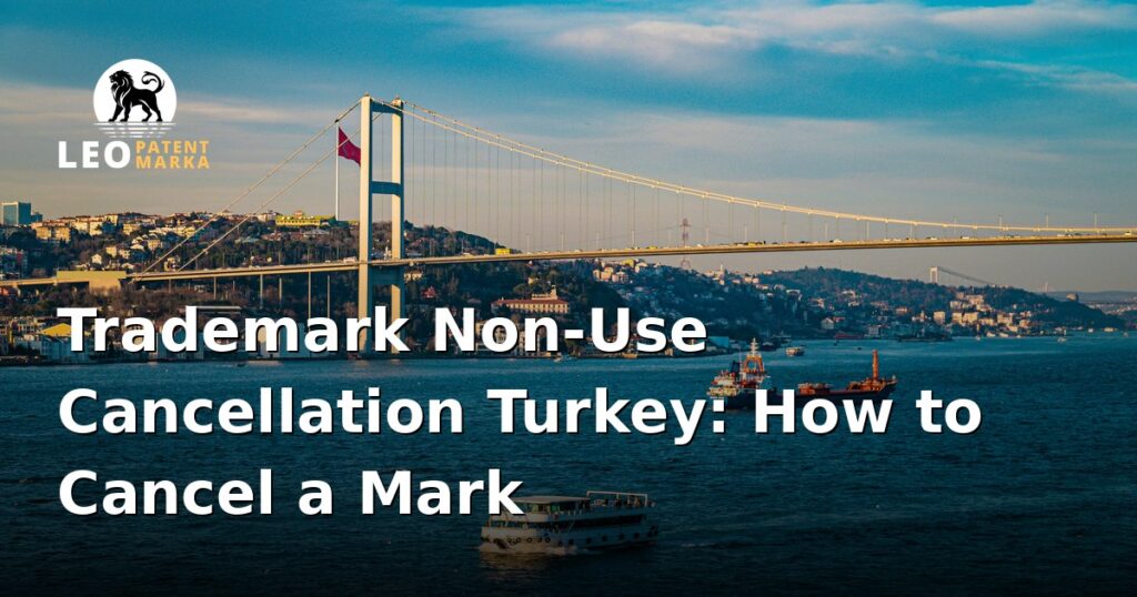 how-to-cancel-a-trademark-for-non-use-in-turkey