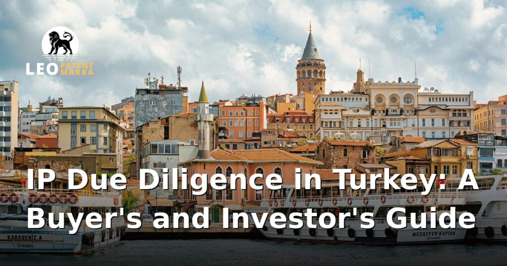 ip-due-diligence-when-buying-or-investing-in-a-turkish-company